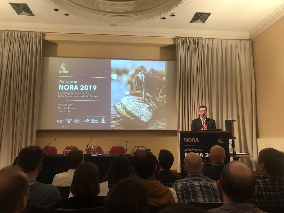 benjamin wray tweet media