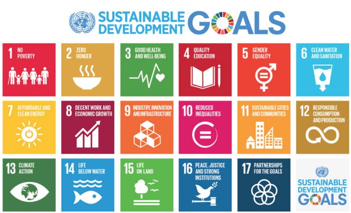 dcdecker24's tweet photo. #HappeningNow social media training @UNDPPalestinian to promote #SDGs in #Palestine https://t.co/PuP7aAl8xb