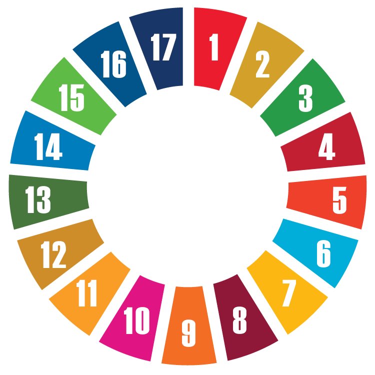 JulieSamara2's tweet photo. #HappeningNow social media training @UNDPPalestinian to promote #SDGs in #Palestine https://t.co/8DLDSTZcYg