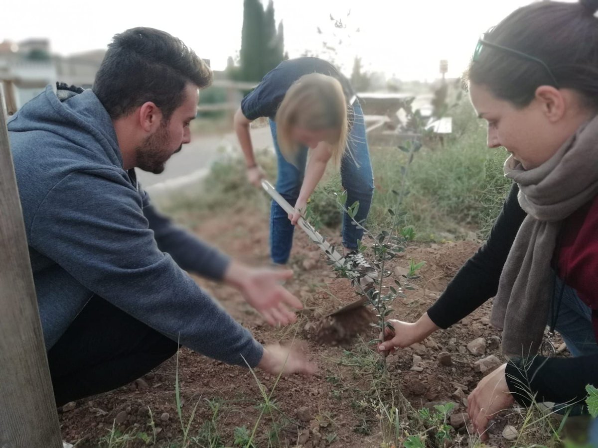 fundacionFISAT's tweet photo. Técnicos y voluntarios/as de #ProgramaAlraso participan de la iniciativa de @UCAM_Cartagena dentro del Festival Mucho Más Mayo en la acción participativa de crear y cuidar un bosque común, mediante la plantación y cuidado de varios árboles en Los Dolores #alraso #muchomasmayo https://t.co/W6YJqlKy65