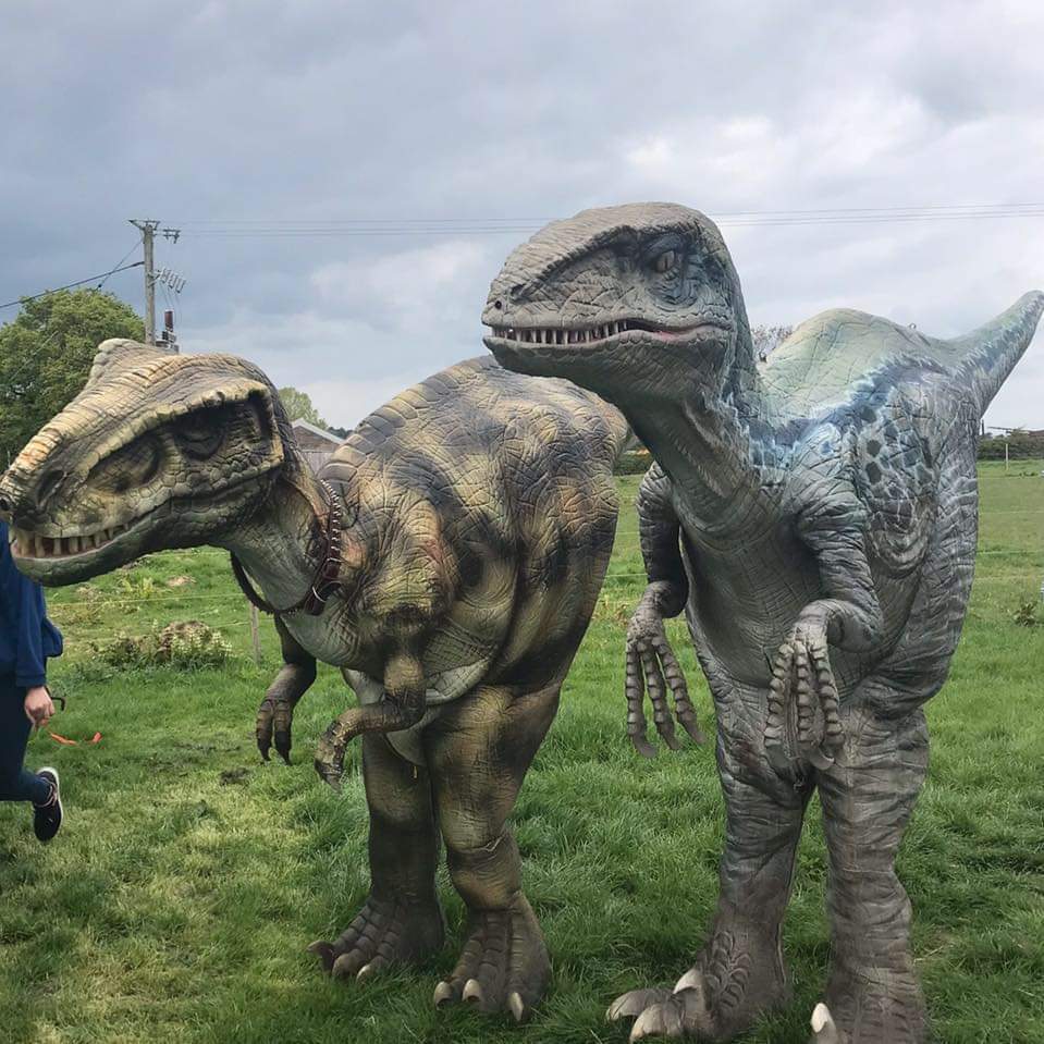 ECCLESFIELD RED ROSE tweet media