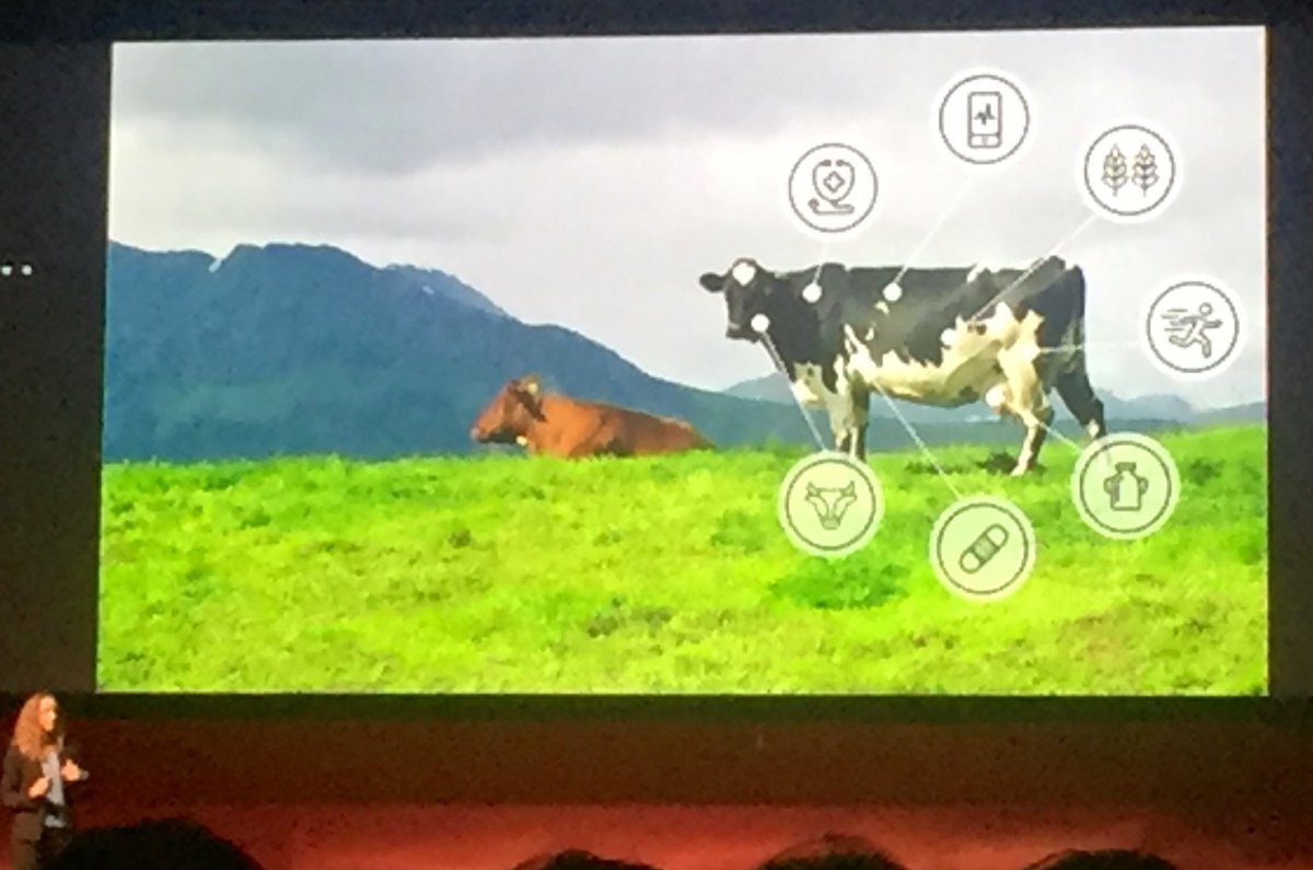 Christina Bergstrand tweet media