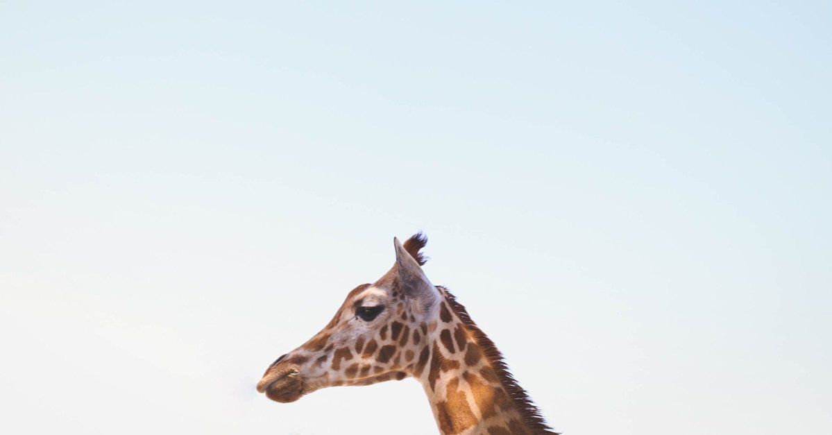 Hiring #intrapreneurs: they have a thing or two to say about the way the organization is run and are not afraid to say it, even if it means challenging all hierarchy in the room. buff.ly/2vNje25 #intrapreneurship #innovation