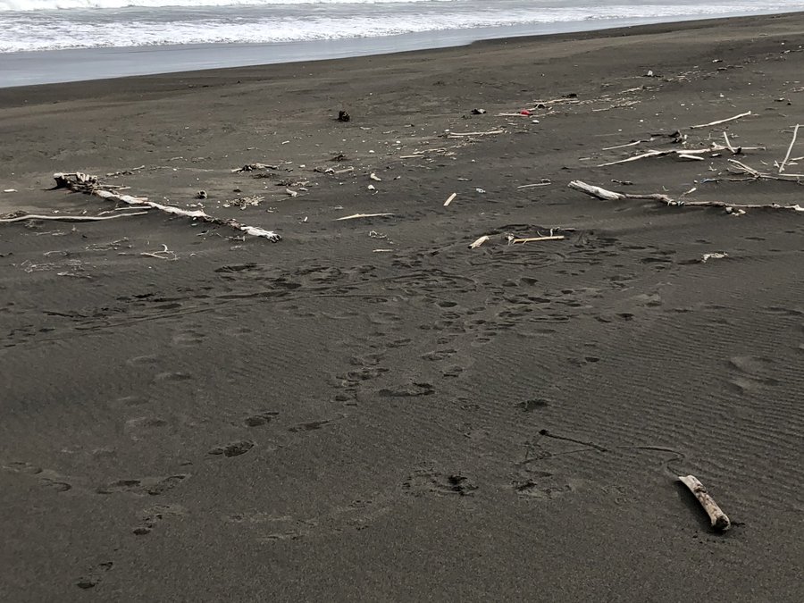 北海道の超危険な心霊スポット21選 恐怖の心霊現象や体験談とは 旅行 お出かけの情報メディア