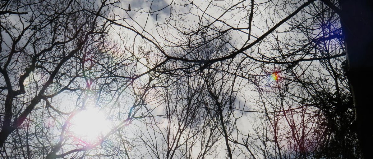 Audio Tour: Find out what happened when a World War 2 flying bomb landed in @CraneParkIsland. Produced by young people from @RiseSchoolUK. 
#KeepingitWild #WildActionProgramme. Thanks @heritagelottery @HLFLondon @Investec @gbct_uk @WildLondon 
bit.ly/2YASr5w