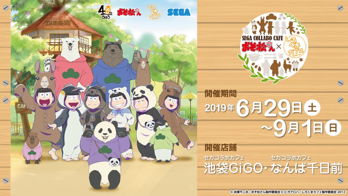 おそ松さん 公式アカウント おそ松さん と しろくまカフェ のコラボカフェが セガコラボカフェ 池袋gigo なんば千日前で開催 期間は19年6月29日 土 から19年9月1日 日 まで 描き下ろし フードやグッズの詳しい情報はhpをご確認ください