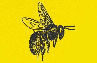 #Sabiesquè avui és el #DiaMundialdelaBiodiversitat?  Et presentem els primers exemplars d'enguany de l'eruga del lliri de mar🐛🦋 . Potser la trobaràs al #bioblitzmetropolità Vols venir? Diumenge a les #JugatecambientalsAMB  #AMB Informa't 👉bit.ly/2k4OaFv