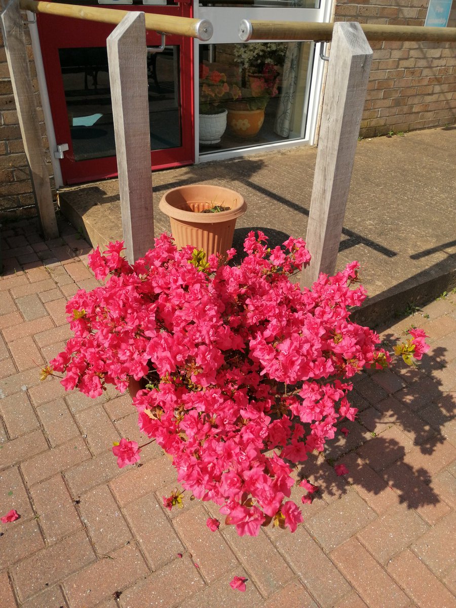 Stewart Court tweet media