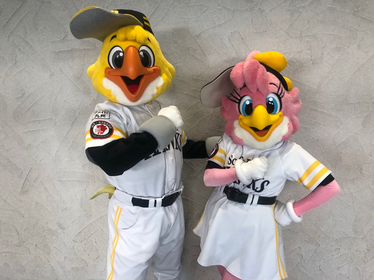 サガン鳥栖公式 No Twitter サガン鳥栖 福岡ソフトバンクホークス スポーツキッズデー 19 本日 ホークファミリーの ハリーホーク ハニーホークが来場 Sagantosu 砂岩魂 サガン鳥栖公式 No Twitter サガン鳥栖 福岡ソフトバンクホークス スポーツキッズデー 19 本日 ホークファミリーの ハリーホーク ハニーホークが来場 Sagantosu 砂岩魂