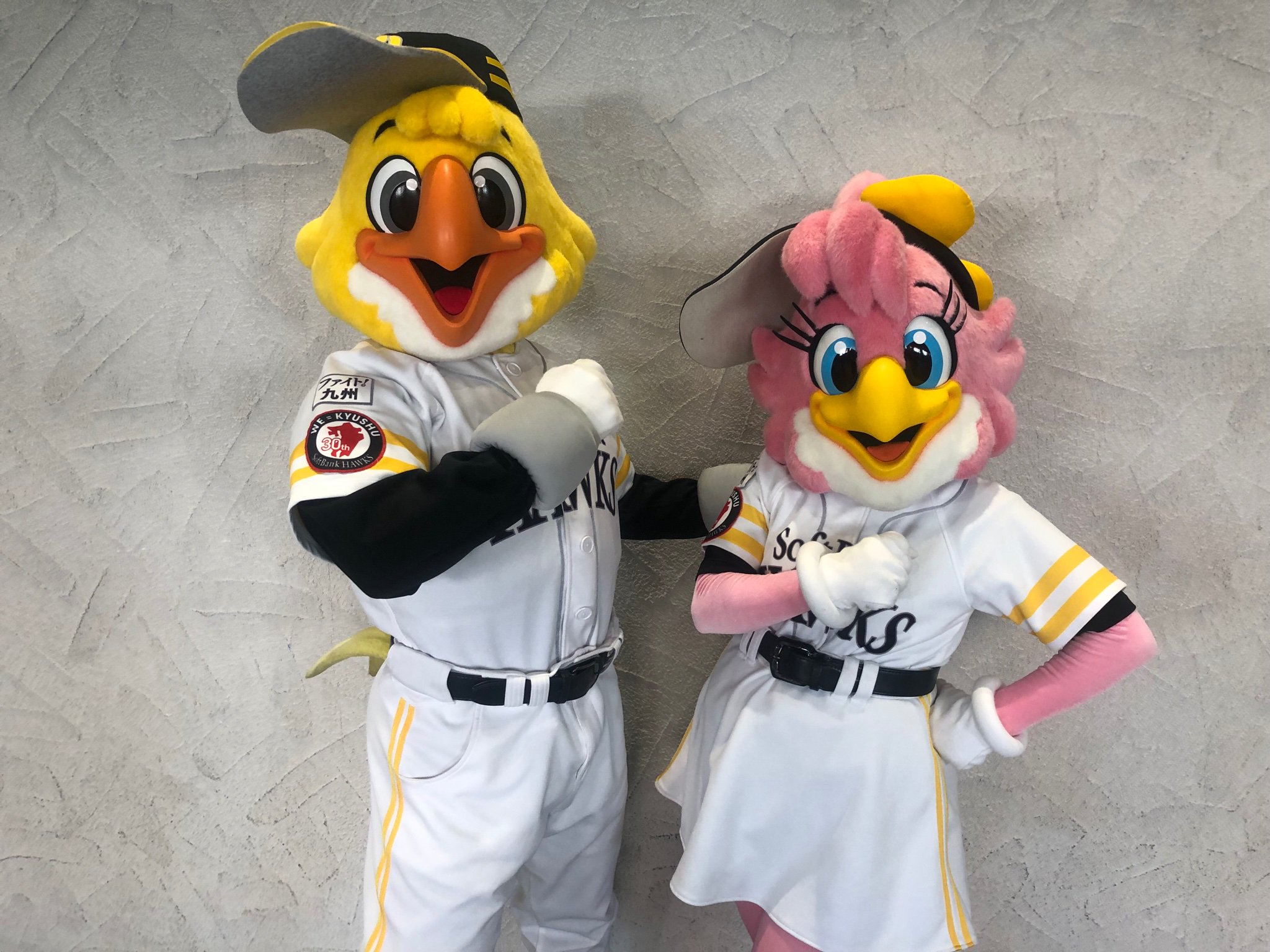 サガン鳥栖公式 サガン鳥栖 福岡ソフトバンクホークス スポーツキッズデー 19 本日 ホークファミリーの ハリーホーク ハニーホークが来場 Sagantosu 砂岩魂 T Co Xwomyeagsj Twitter