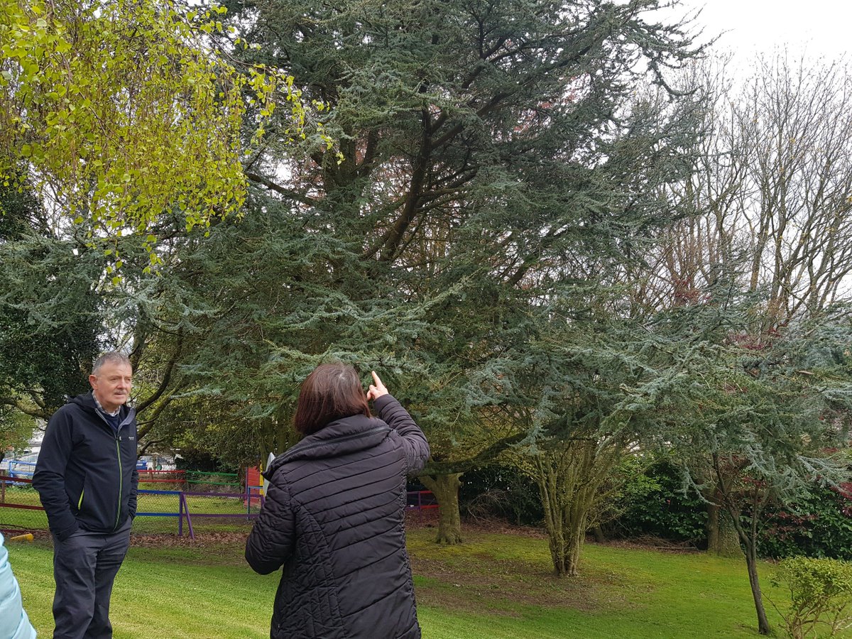 EnergyHub1's tweet photo. Thanks to Cork Environmental Forum for organising a workshop on the benefits of trees in an urban context with Elaine Garde,
in Farranferris college as part of the Cork Life Long Learning Festival. #corklearningfest2019 @CorkEnvForum @HeritageHubIRE @learning_fest https://t.co/OkEUEebraW