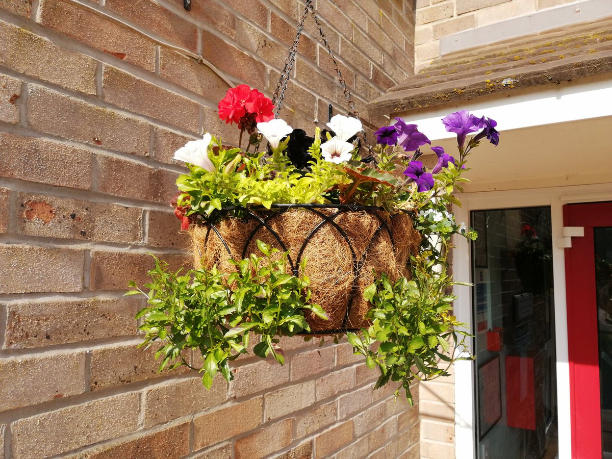 Stewart Court tweet media