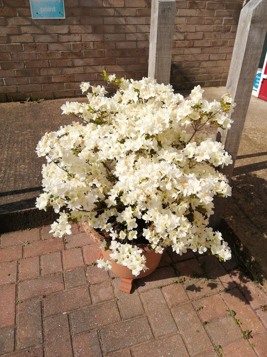 Stewart Court tweet media