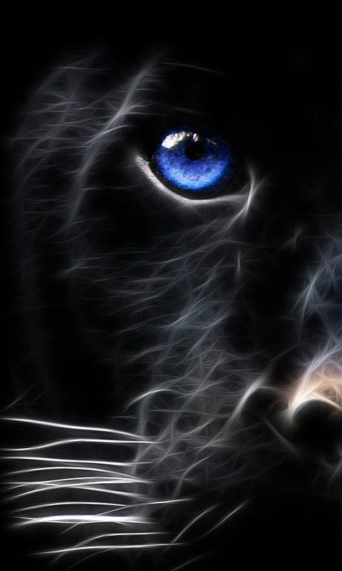Priyanshu Raj (@Priyans44420681) / Twitter Priyanshu Raj (@Priyans44420681) / Twitter
