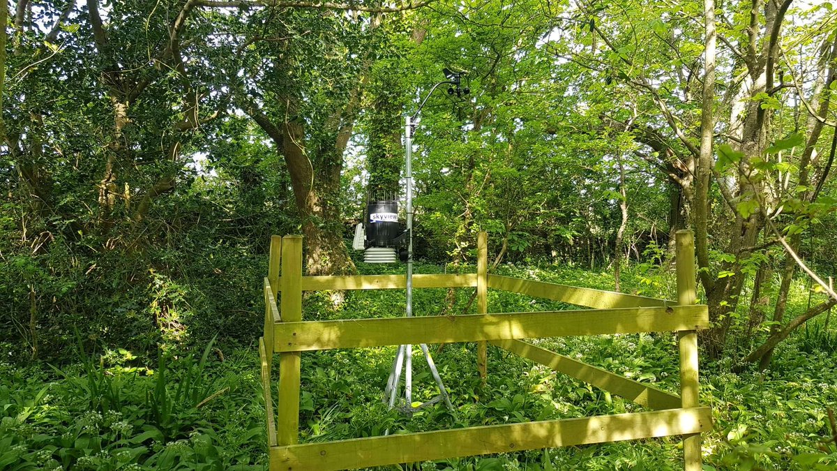 svweathertech's tweet photo. One of our favourite types of projects. Working with #DorsetCountyCouncil to enhance their @LeesonHouse outdoor learning resources for children. Have fun all! 

#weatherstation #learning #Dorset #TheGreatOutdoors #weather #education #educational #LeesonHouse #SkyviewSystems https://t.co/waHKxKrjsp
