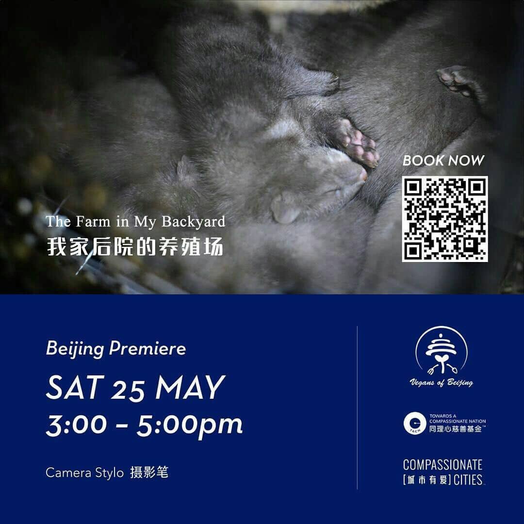 tacnofficial's tweet photo. Film time this Saturday 25 May in #Beijing we’re premiering the latest #documentary The Farm in My Backyard - a short film by @WeAnimals + A Plastic Ocean! Scan QR via WeChat to reserve your tickets 🤘🏻 #film #China #Animals https://t.co/1TaeZxWy2U