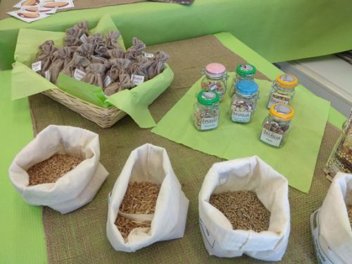 CNRsocial_'s tweet photo. #22maggio #BiodiversityDay
Ricordiamo che a #Bari è in corso la 'Settimana della #biodiversità pugliese' (20-24 maggio) con #Cnr-Ibbr
#Biodiversità: una ricchezza condivisa, diffusa e tramandata di generazione in generazione fino a noi
Leggi di più su 👉 https://t.co/UQPkU75ugQ https://t.co/b87OvBQYJS
