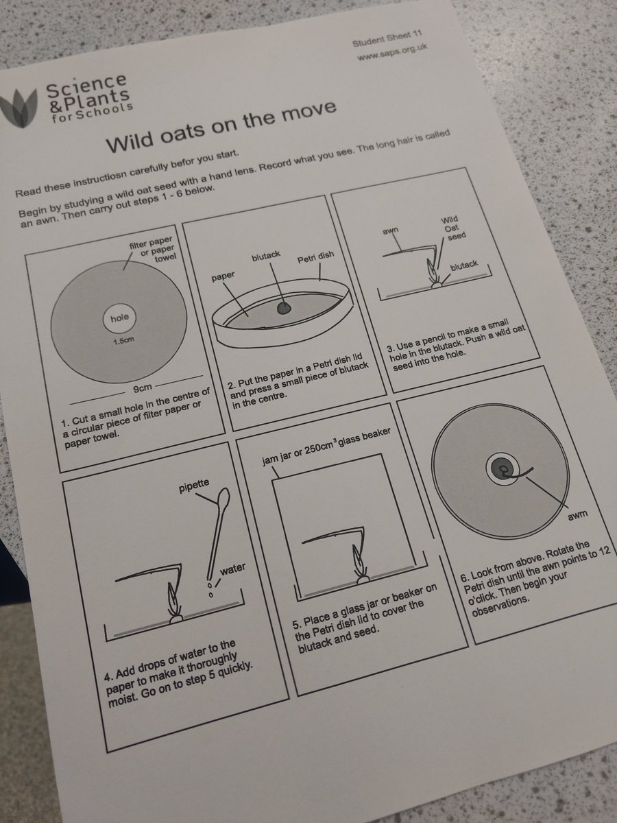 DrBiol's tweet photo. Wild oats and heavy breathing in the @Quinnell75 workshop at the #NENWTechConf
Some fab @SAPS_News and @NuffieldFound activities being showcased @TheKingsSchool this morning, lots of wows! https://t.co/MeUx5rSuTj