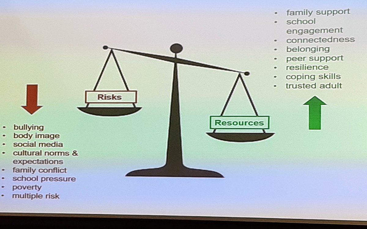 djbecosse's tweet image. Thanks from @StrathallanSch  for inspiring input with the focus on impact of the best #EvidenceBasedInterventions for improving #MentalHealthAndWellbeing of Children  and Young People in Scotland @ScotlandShine #MHDSScotland