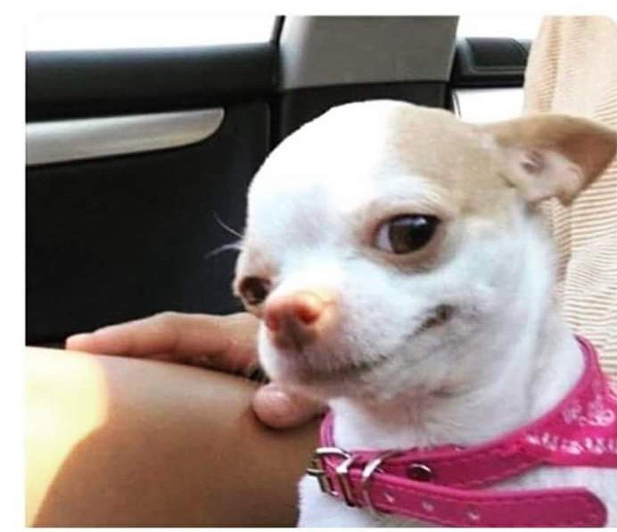 When y Dodge every single one of your responsibilities by sleeping the entire day