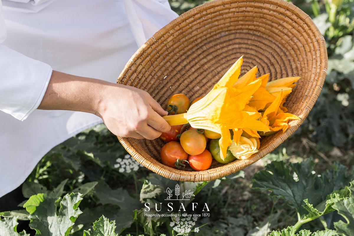 SusafaIT's tweet photo. Just as a mother's care is unparalleled, that is how we care at Susafa, with the same dedication!
.
#susafa #nature #experience #ourfamily https://t.co/2JzYPDWzRI