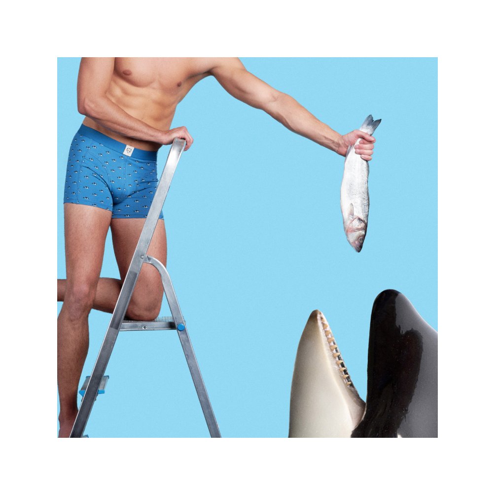 Willy loves fish. What’s your favourite dish?

Shop link: bit.ly/2RztdRK

#Fish #Orka #AdamUnderwear #Adam #Underwear #Amsterdam #Ecofriendly #Organic #Prints #Fashion #Boxers #T-shirtShirts #Swimwear #Linkinbio