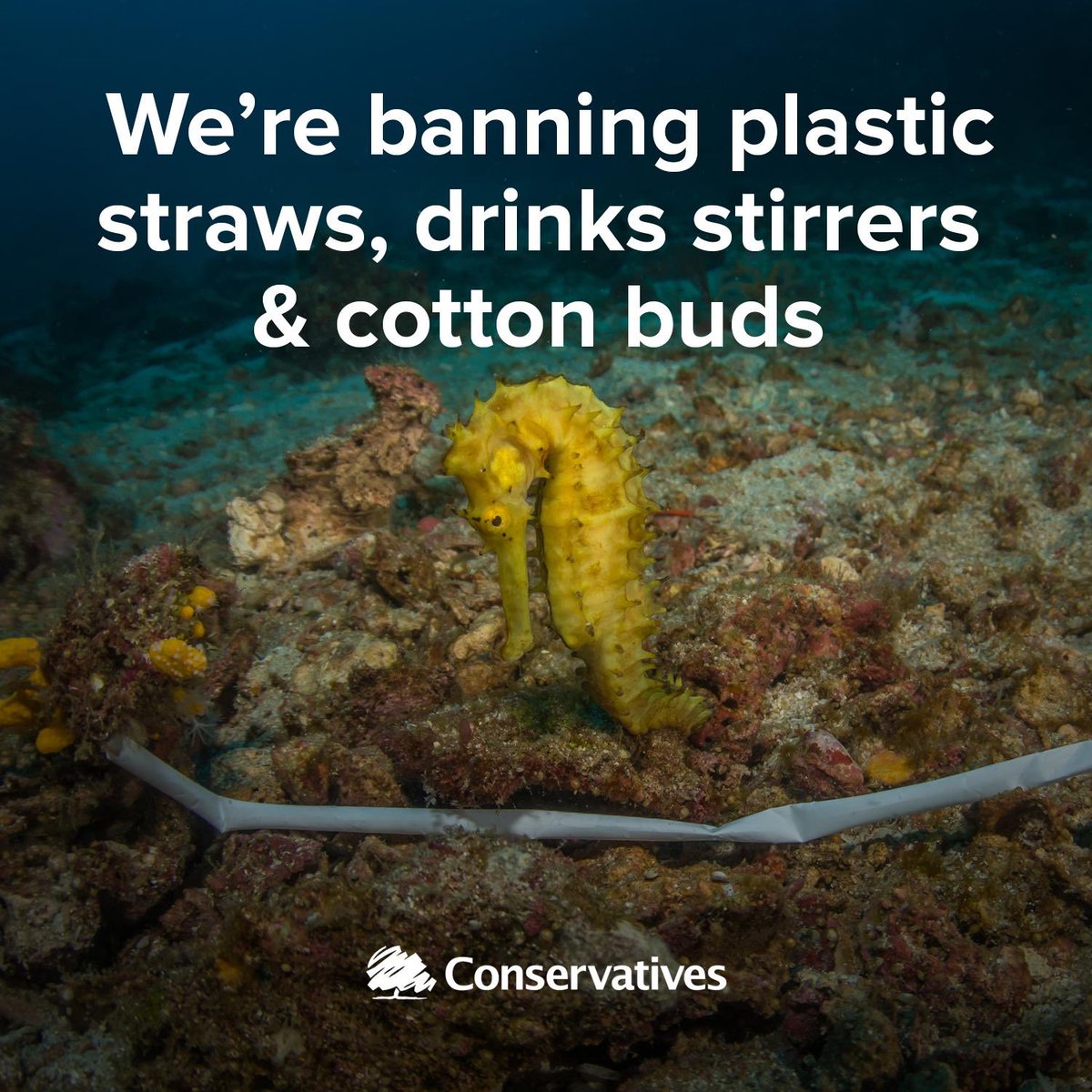So pleased the <a href="/Conservatives/">Conservatives</a> are leading the way in protecting what is most important, our environment. Hope these plastics that are a scourge of the seas are no more from 2020. 🐬🦑🐠 <a href="/ToryDEFRA/">ToryEnvironment</a>