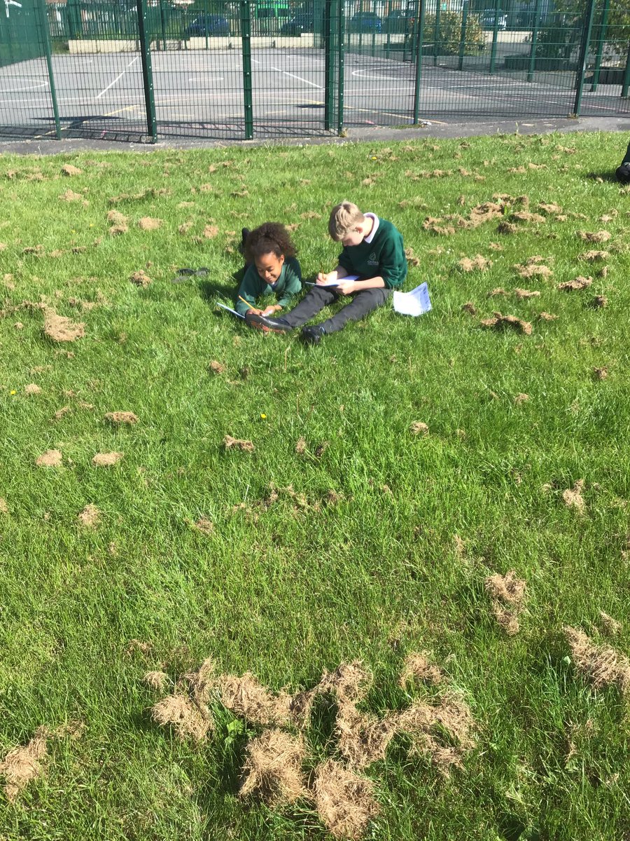 5Sycamore's tweet photo. Year 5 have been inspired by William Wordsworth’s Daffodils and have stepped out of the classroom to write their own nature influenced poems.
#outdoorlearningday #wordsworth #poetry #weloveenglish 
@OrchardPrimaryA  @SouthPennine https://t.co/QKshMdIJCC