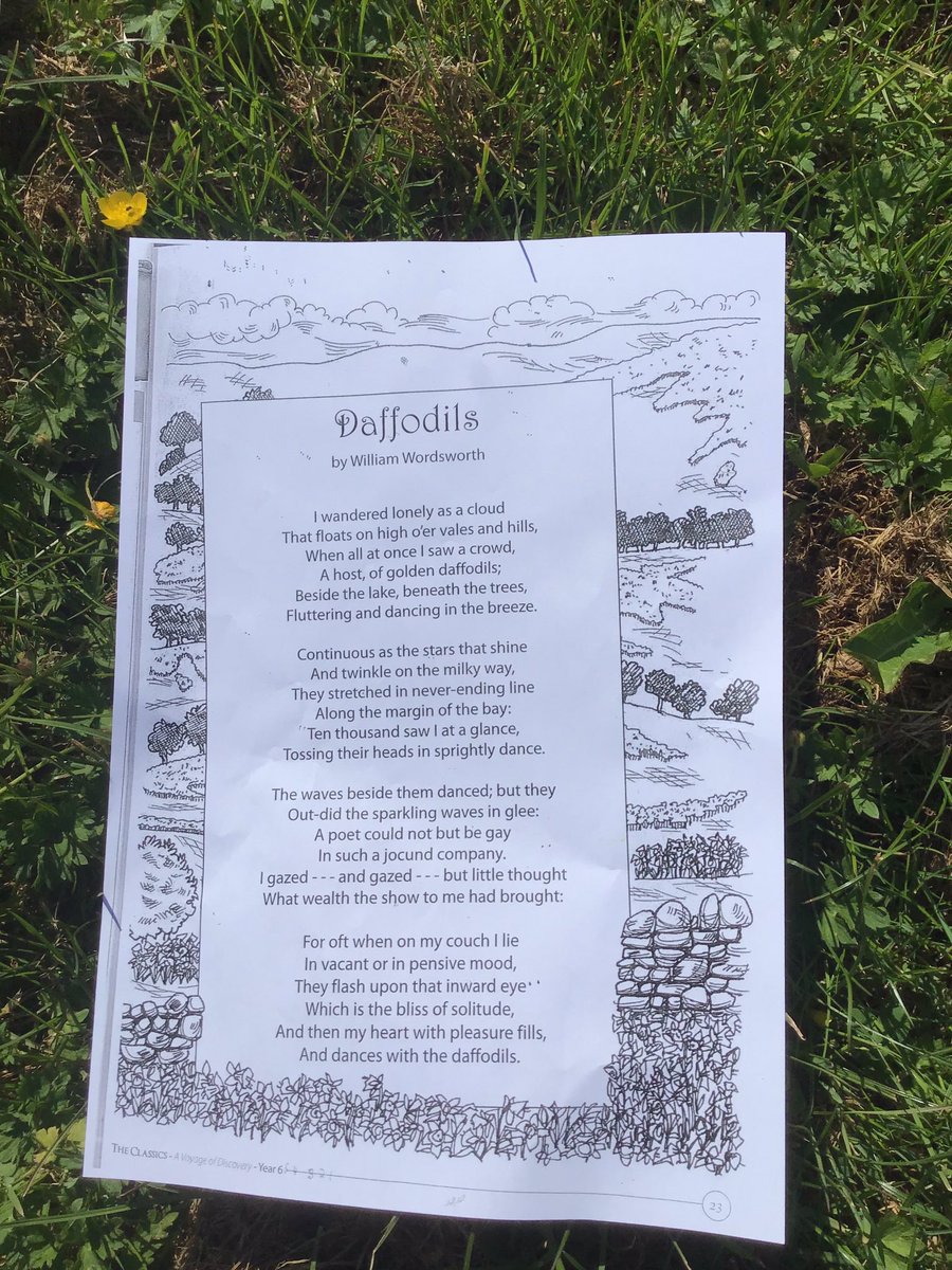5Sycamore's tweet photo. Year 5 have been inspired by William Wordsworth’s Daffodils and have stepped out of the classroom to write their own nature influenced poems.
#outdoorlearningday #wordsworth #poetry #weloveenglish 
@OrchardPrimaryA  @SouthPennine https://t.co/QKshMdIJCC