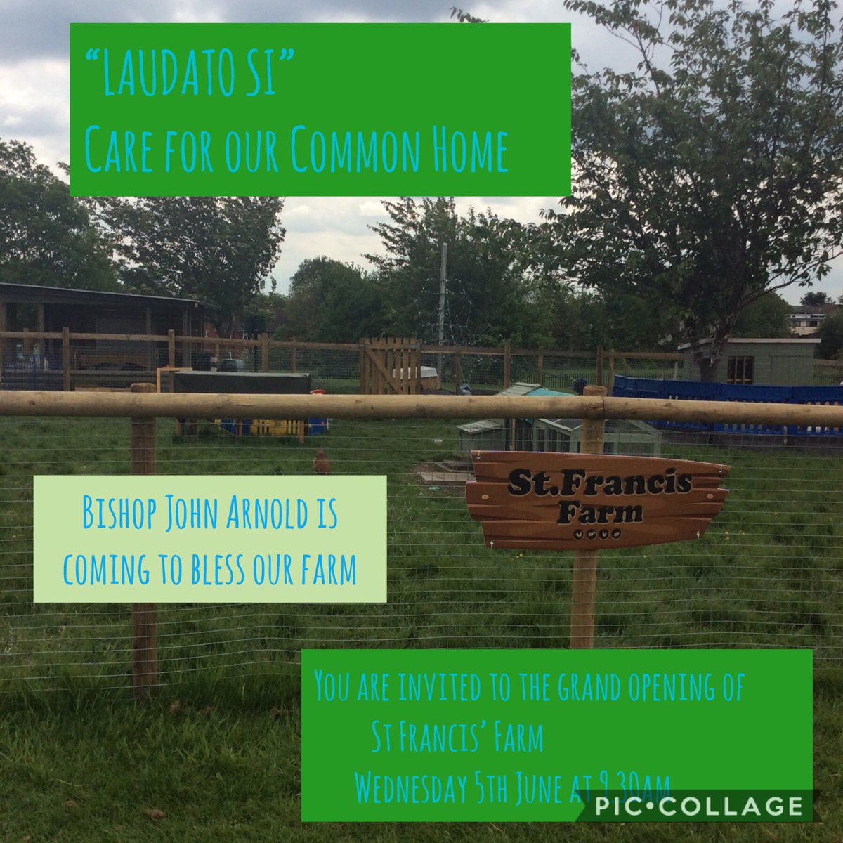 GIFTteamSJSB's tweet photo. The GIFT Team are excited to announce that Bishop John Arnold is coming to open our school farm 🐔🐰🐐 @FarmSjsb #LaudatoSi #StFrancisFarm #GIFTTeam #SJSBRE #SMSC @StJosephStBede https://t.co/21iZ61QgyB