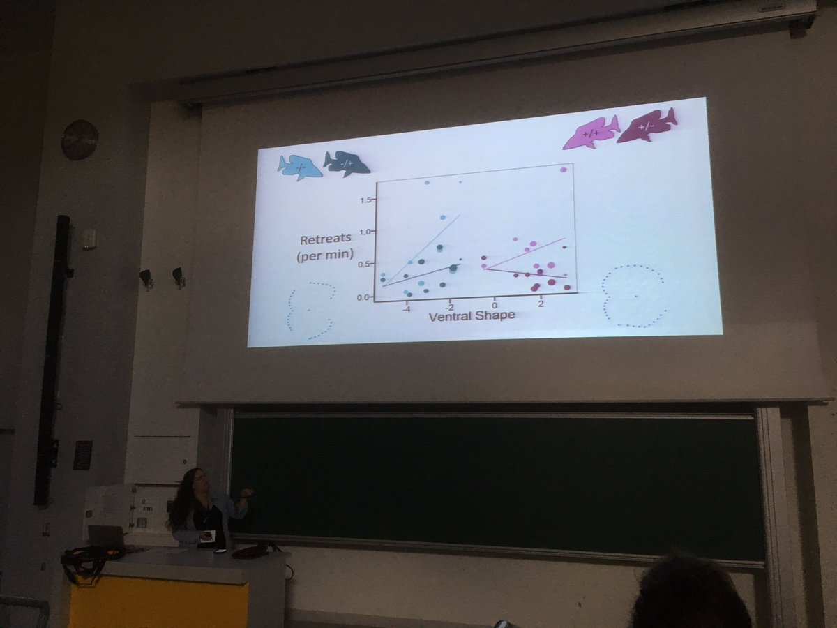 Dr Kris Sales tweet media