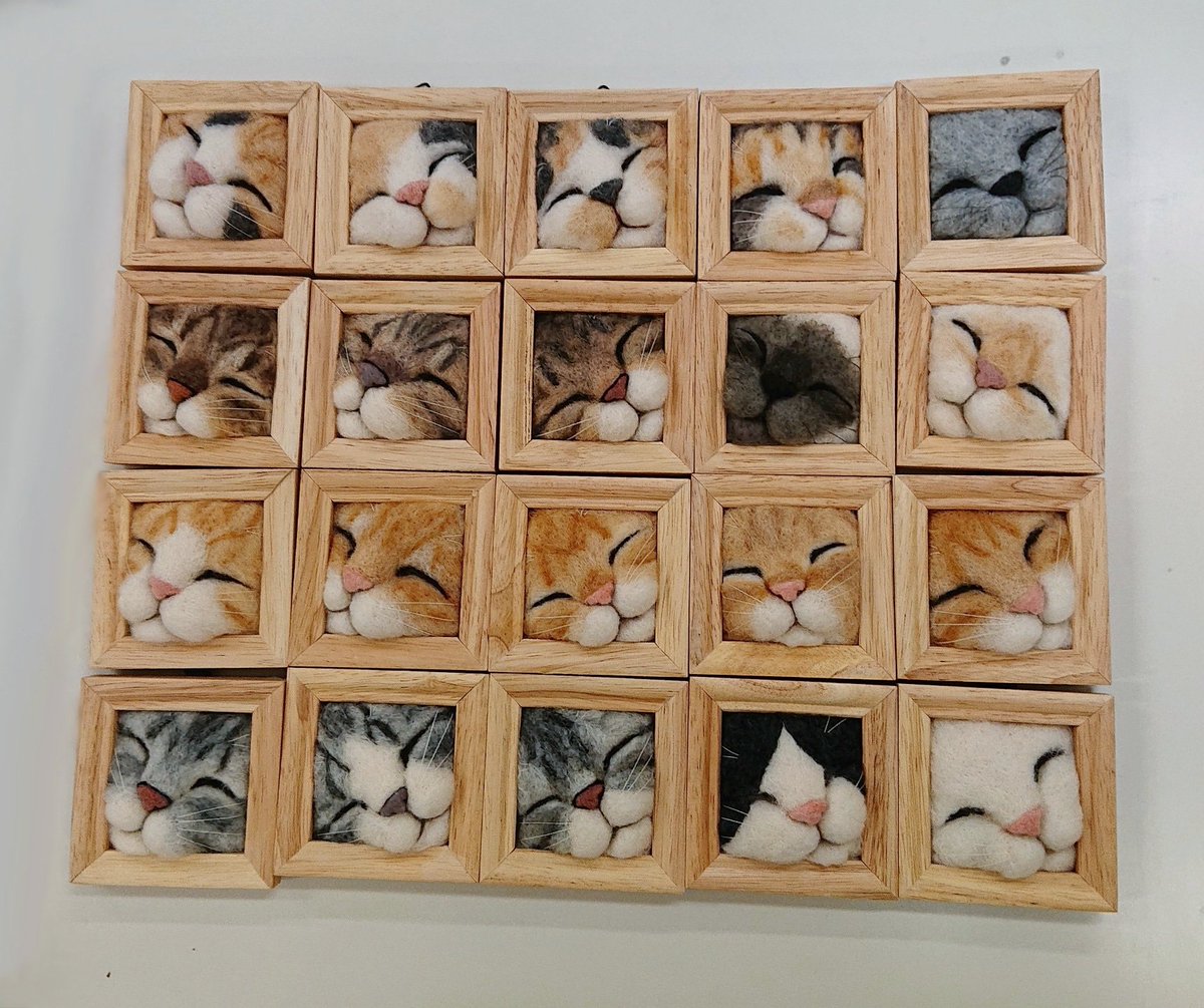 Twoucan 眠り猫フレーム の注目ツイート イラスト マンガ コスプレ モデル