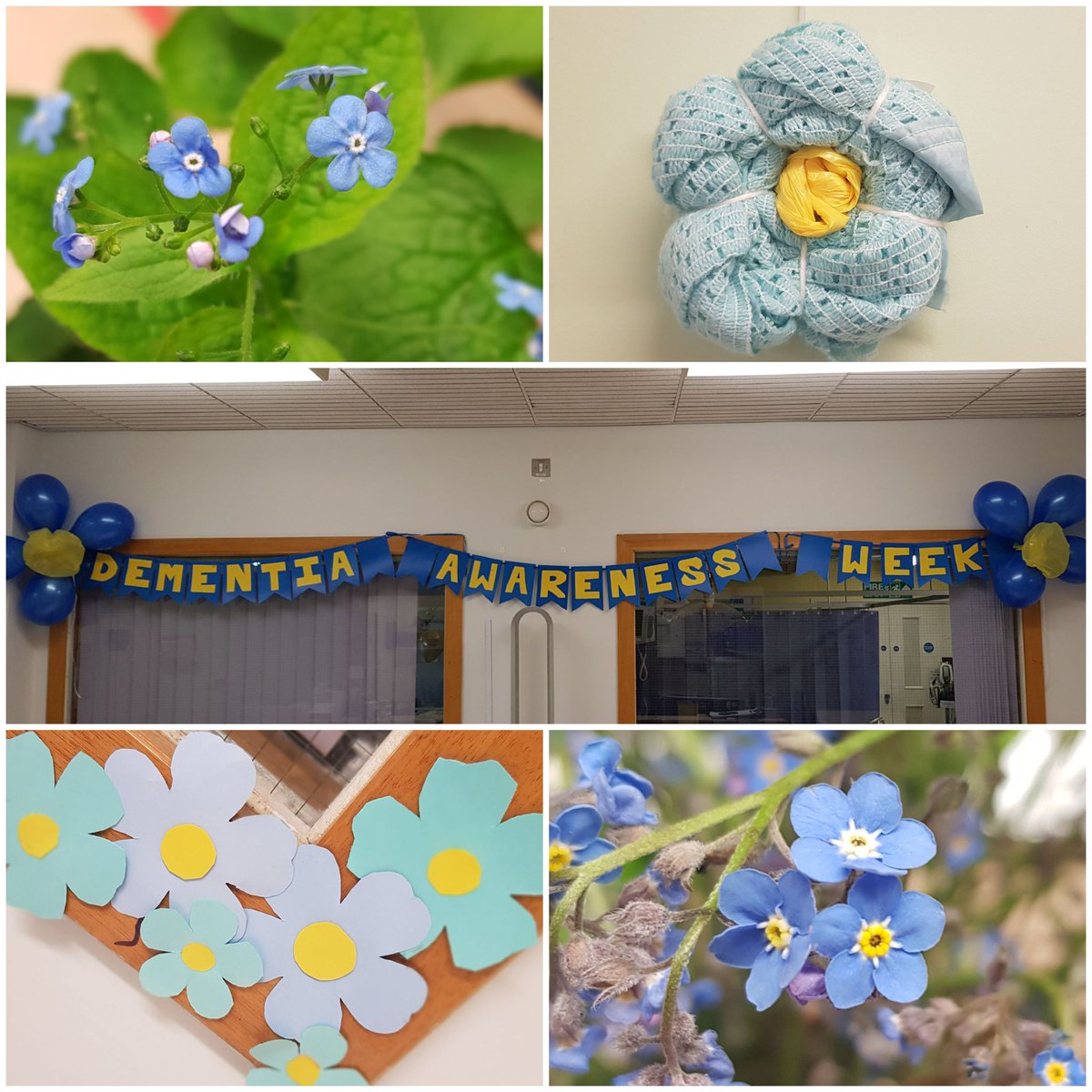 Ward staff and their families have been working hard to subtly decorate the ward for Dementia Awareness Week #DAW2019 #DementiaAwarenessWeek #dementia #musgrovePark #eliotward #ForgetMeNotกุกมิน