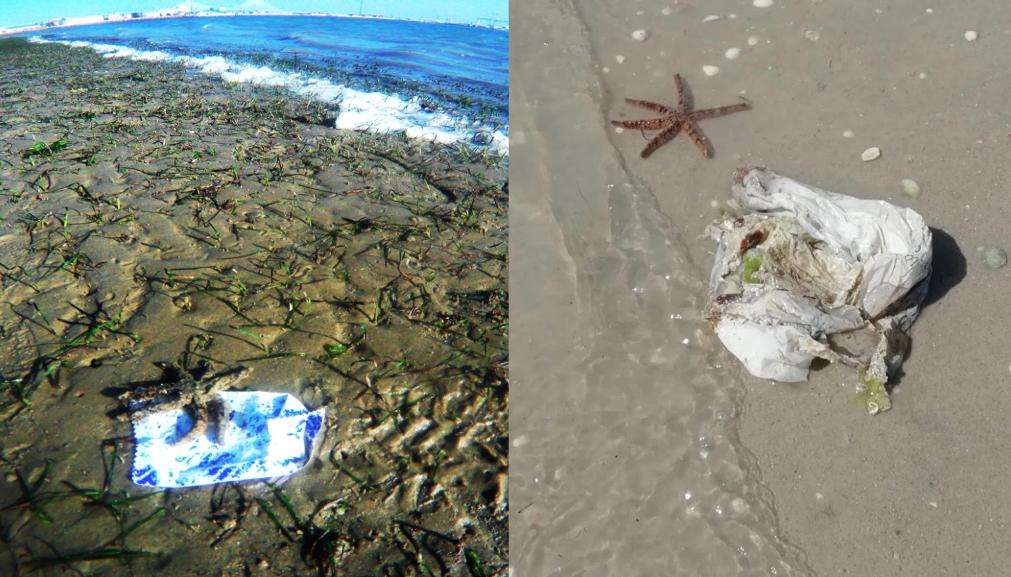 plasticfam's tweet photo. Esperemos que no llegue el día en que veamos más diversidad de #plásticos que de #fauna en nuestros paseos por la #naturaleza 💙🌍

En el #DiaDeLaBiodiversidad mostremos también la #biodiversidad menos emblemática como las #praderasmarinas

#SomosBiodiversidad https://t.co/om6yfSzwcn