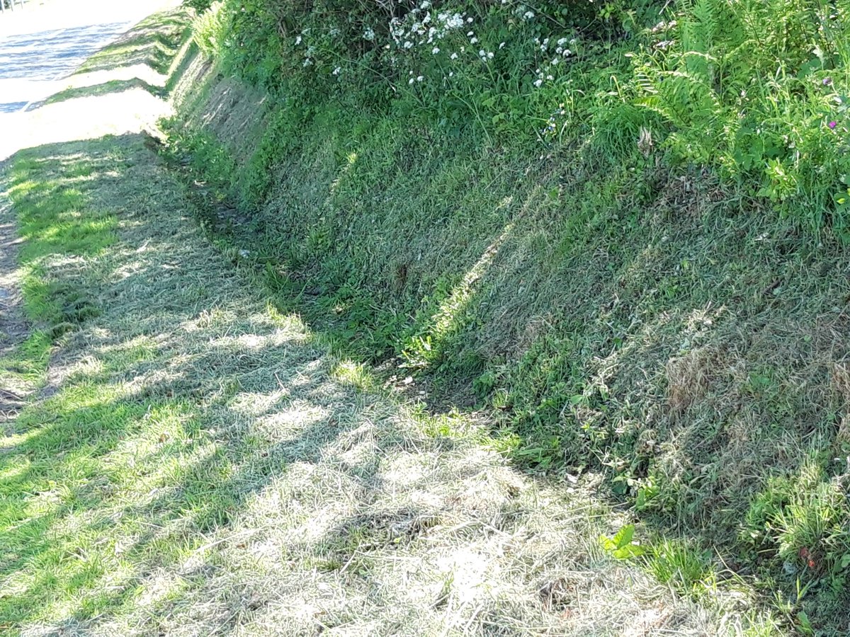 Rob Kimberley tweet media