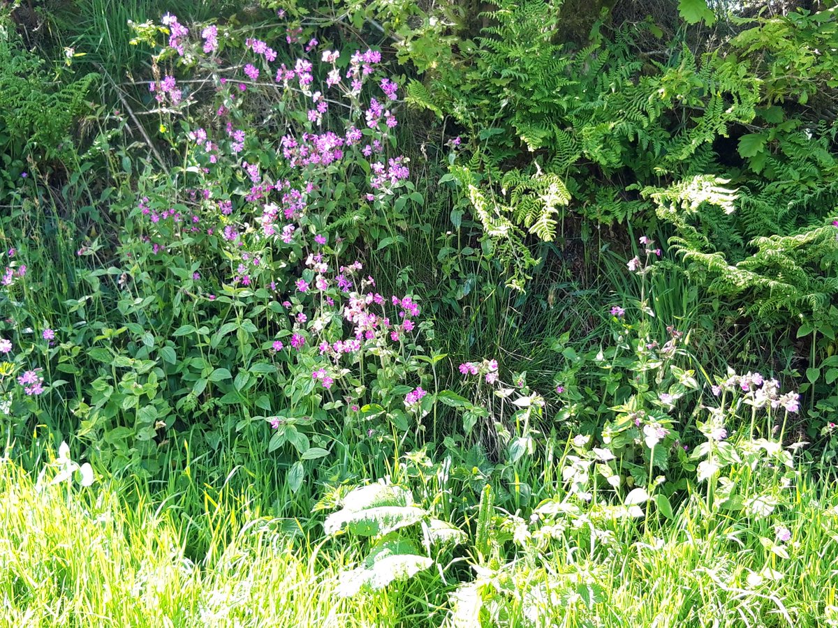 Rob Kimberley tweet media