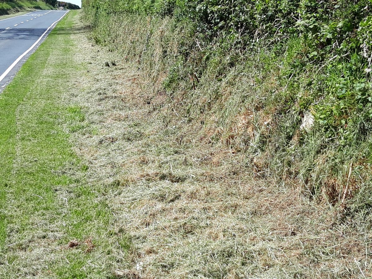 Rob Kimberley tweet media