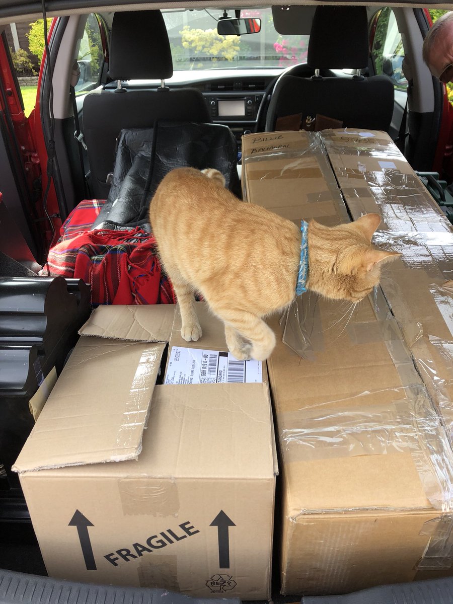 BoormansJ's tweet photo. Amanda will be heading down to our clock workshop later to deliver these broken clocks and pick a lots of repaired clocks but Cairo decided he had to check all the clocks had been packed property first!!!! #ClockRepairs #ClockWorkshop #CuriousCat #LongDrive https://t.co/vdga2boOmm