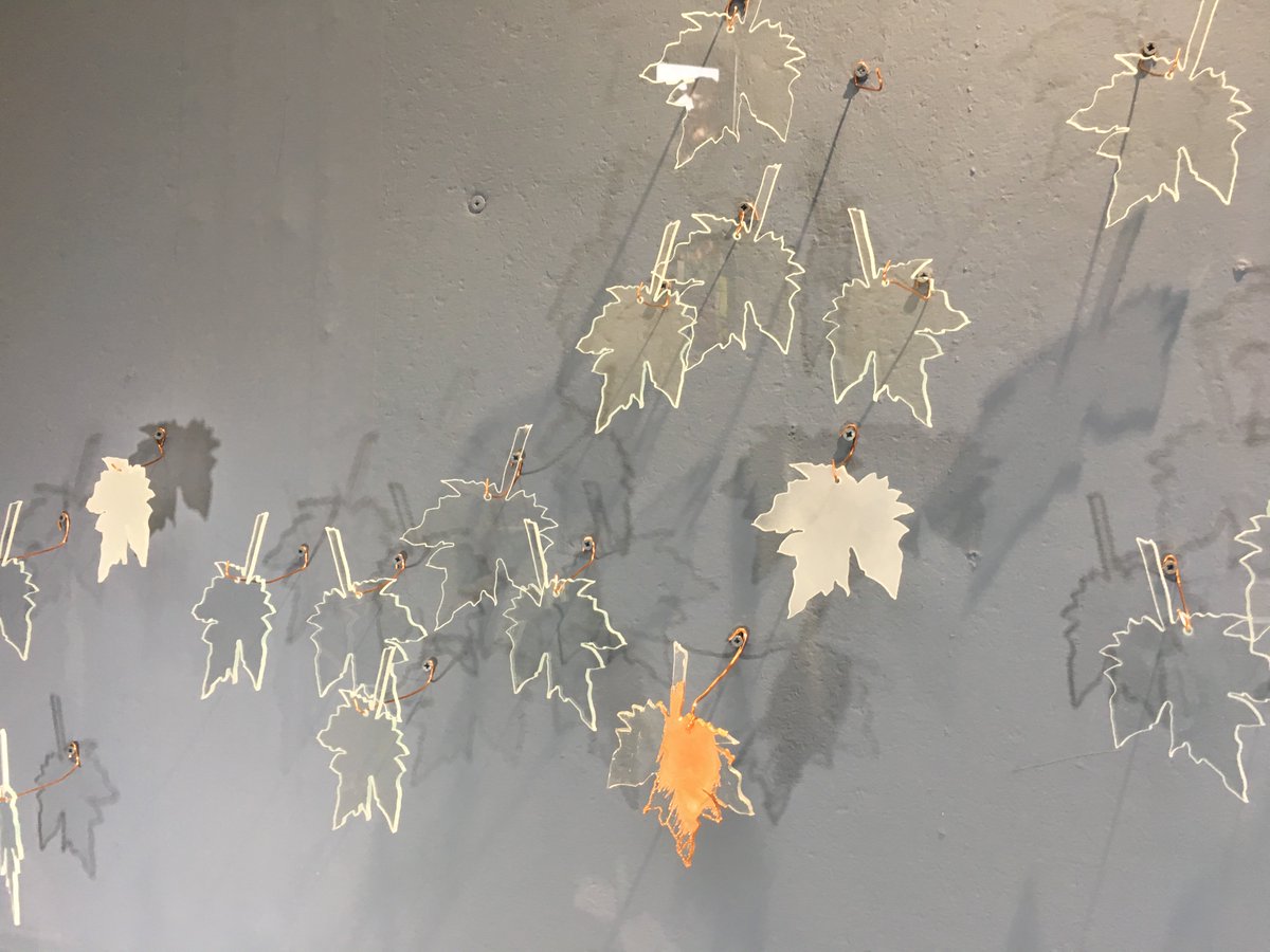 ArtSwansea's tweet photo. Beautiful Glass work on display as part of our Summer Degree shows, open until the 31st May. Our Glass students will them be exhibiting at New Designers, London at the end of June. 
https://t.co/ecEym7xxyT 
@StudyUWTSD @UWTSD #Glass #SwanseaCollegeofArt #UWTSD #Degreeshows19 https://t.co/xqoD5nQvWr