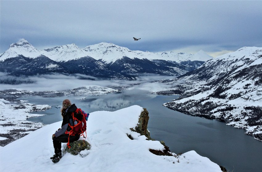#Patagonia en #invierno. Fotos de la dureza austral. Ver acá➡ bit.ly/2VxEaIV
<a href="/JuanitoCL/">Juan Erices 📸</a> @SurTuristico <a href="/MaravillasEnChi/">MaravillasEnChile</a> <a href="/ThisIsPatagonia/">Patagonia Chile</a>
