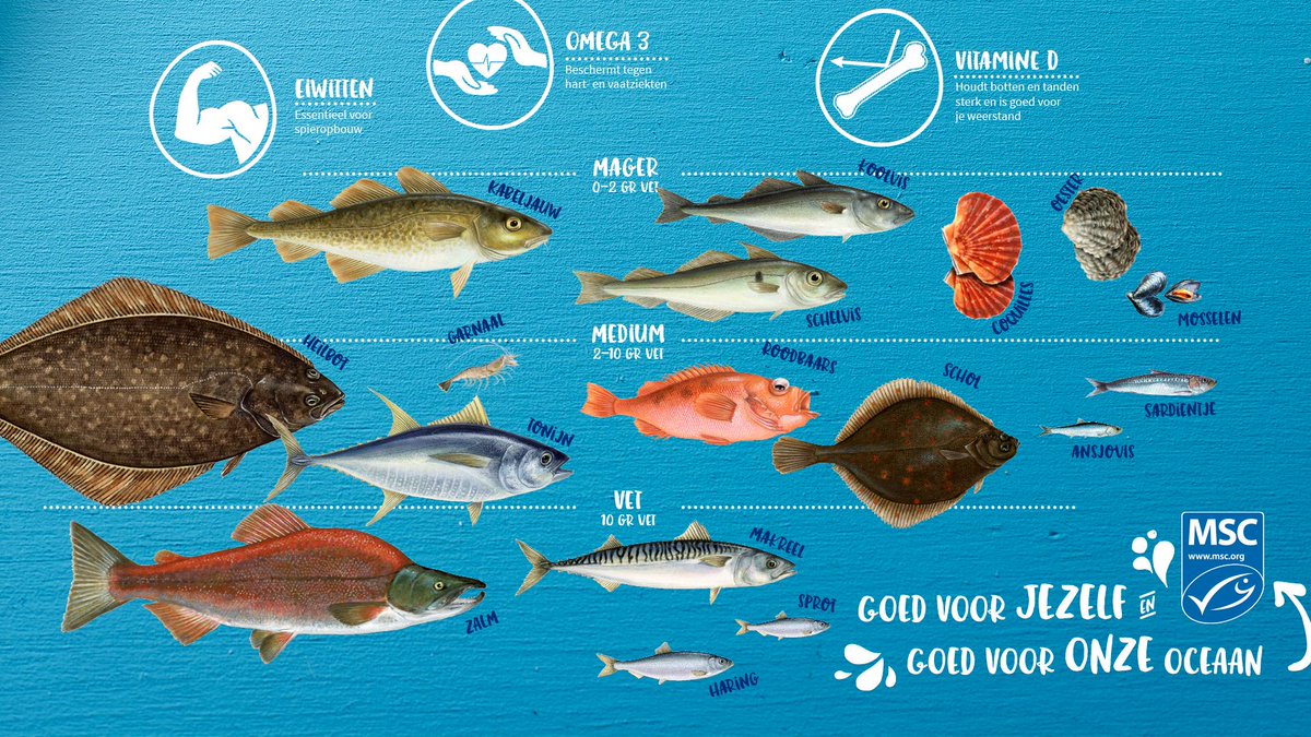 on Twitter: "De omega-3-vetzuren in vis beschermen hart- en vaatziekten, en hebben een effect op de bloeddruk. Vooral vette #vis bevat deze vetten ❤️️ Je noemt vis 'vet'