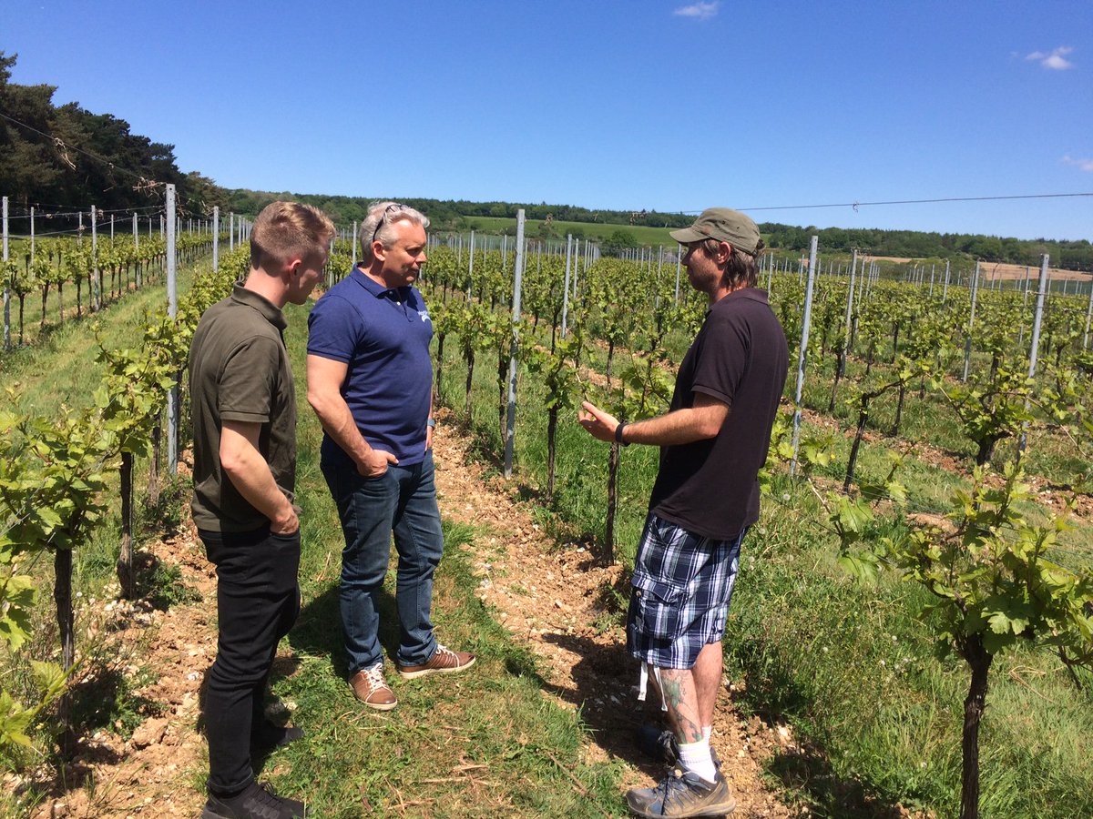 fargro's tweet photo. Our technical specialist @ASurrage discussing the use of Blocade with Adam from @gusbourne and Jerry Overweg from @HortiProBV on their vines in their Sussex vineyard. https://t.co/74vHju1sLf