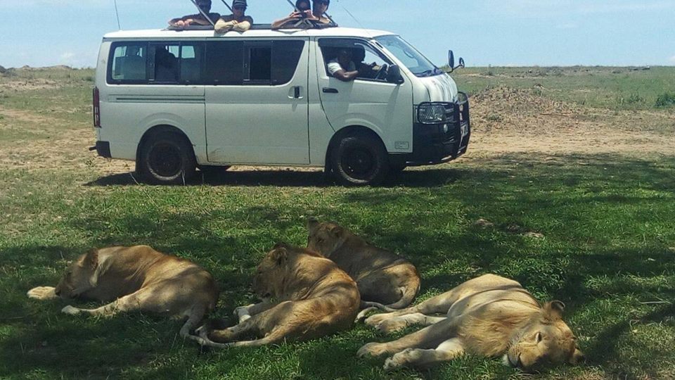 WildSignature's tweet image. #BestofKenyaSafari wildsignaturesafaris.com