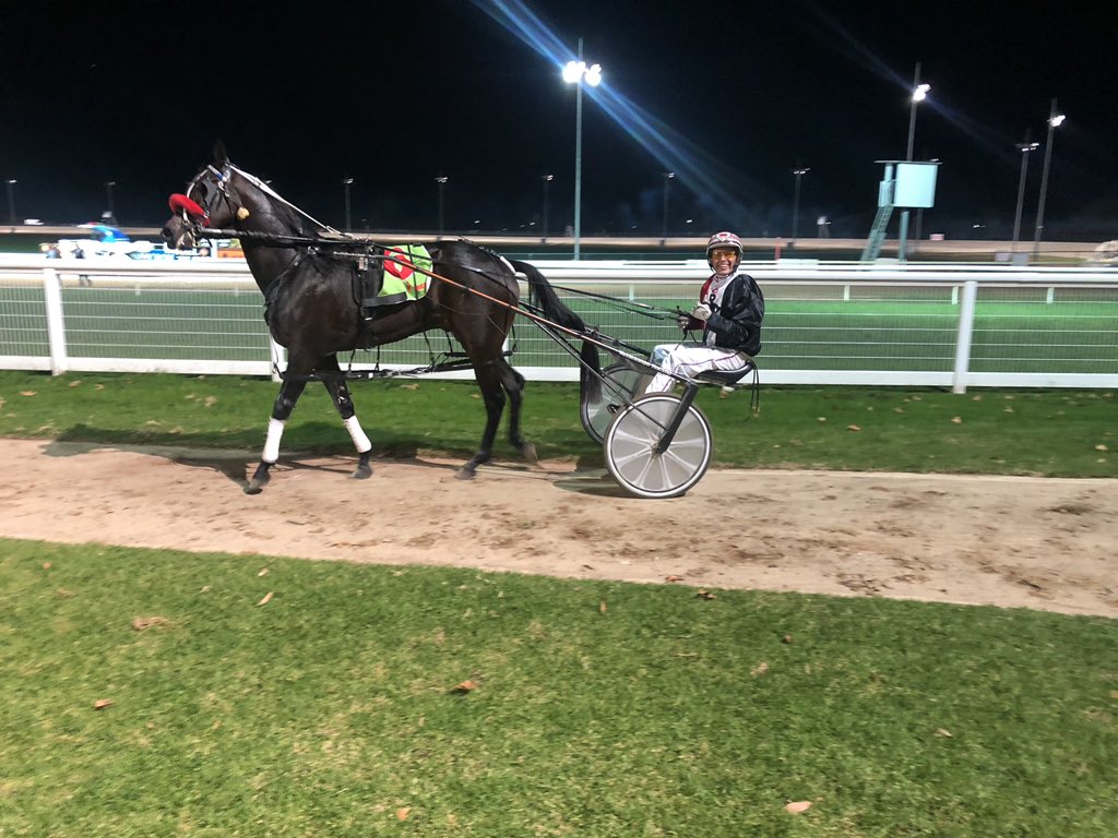 TrotsSH's tweet photo. Torrid Saint driven by Ross Payne after winning the 3yo Race 1. Committee man Noel Watson who owns Torrid Saint bred him out of his good mare Torridon. #localwin #TrotsSH #paidwell #WinnerWinner https://t.co/9JvywQkGic