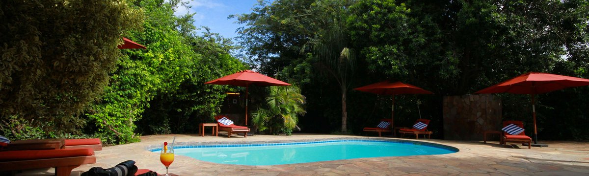 WildSignature's tweet image. #BestofKenyaSafari wildsignaturesafaris.com