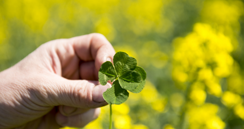 #JournéeMondialeDeLaBiodiversité - Les agriculteurs, qui travaillent le vivant au quotidien, détiennent par leurs pratiques les clés du maintien de la #biodiversité #animale et #végétale. 
👉Retrouvez notre dossier : bit.ly/2QfNpIJ
#BiodiversityDay #PlanBiodiversité