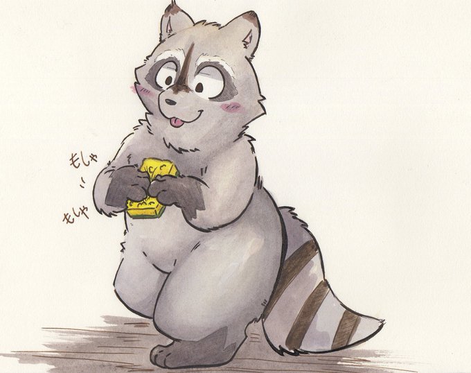 アライグマのtwitterイラスト検索結果 アライグマのtwitterイラスト検索結果