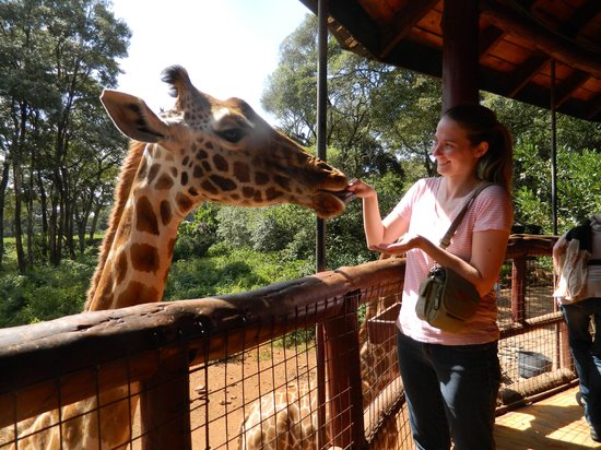 WildSignature's tweet image. #BestofKenyaSafari wildsignaturesafaris.com