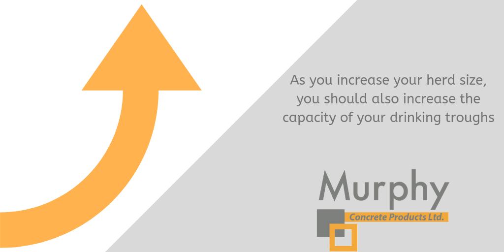 It is important to remember as you increase your herd size, you should also increase the capacity of your drinking troughs. For more top tips on implementing an efficient water system, read our latest blog post #precast #concrete bit.ly/303ULni