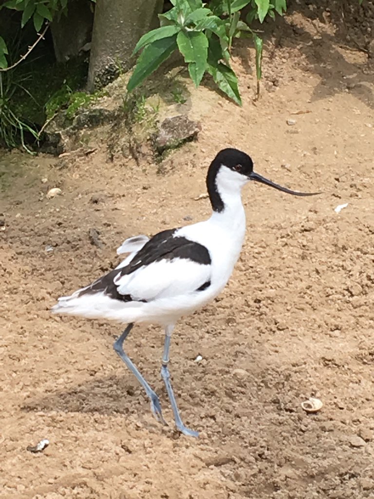 Explore Norfolk UK tweet media